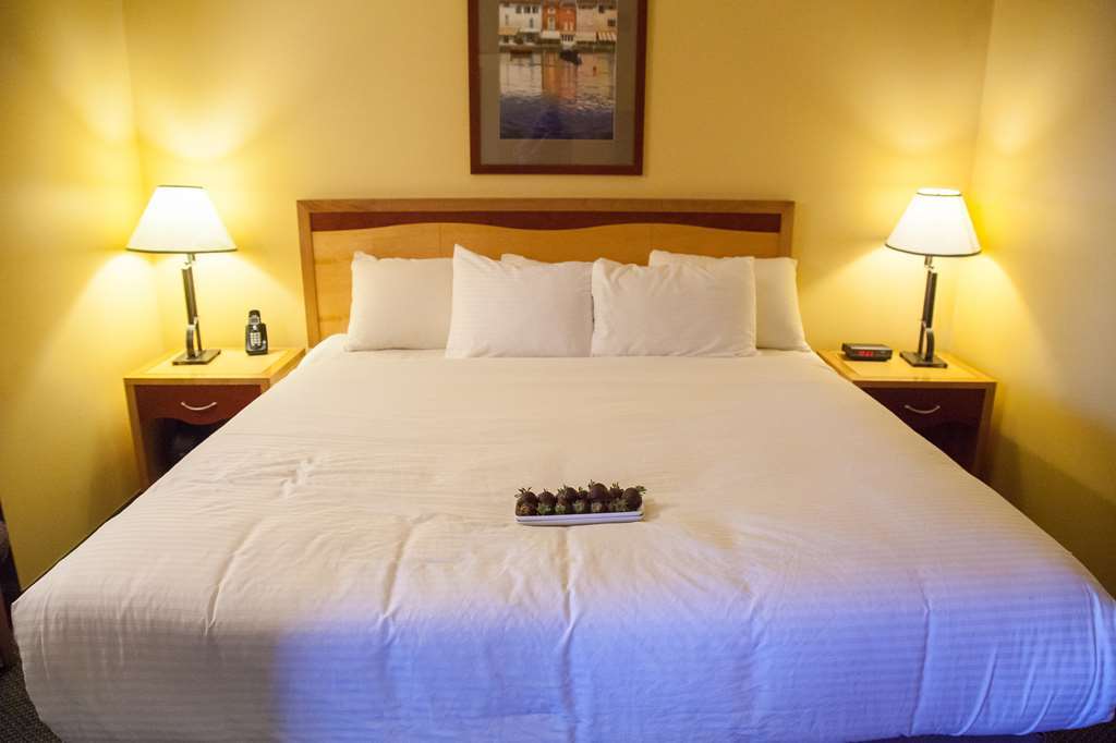 Medicine Hat Lodge, Trademark Collection By Wyndham Rom bilde